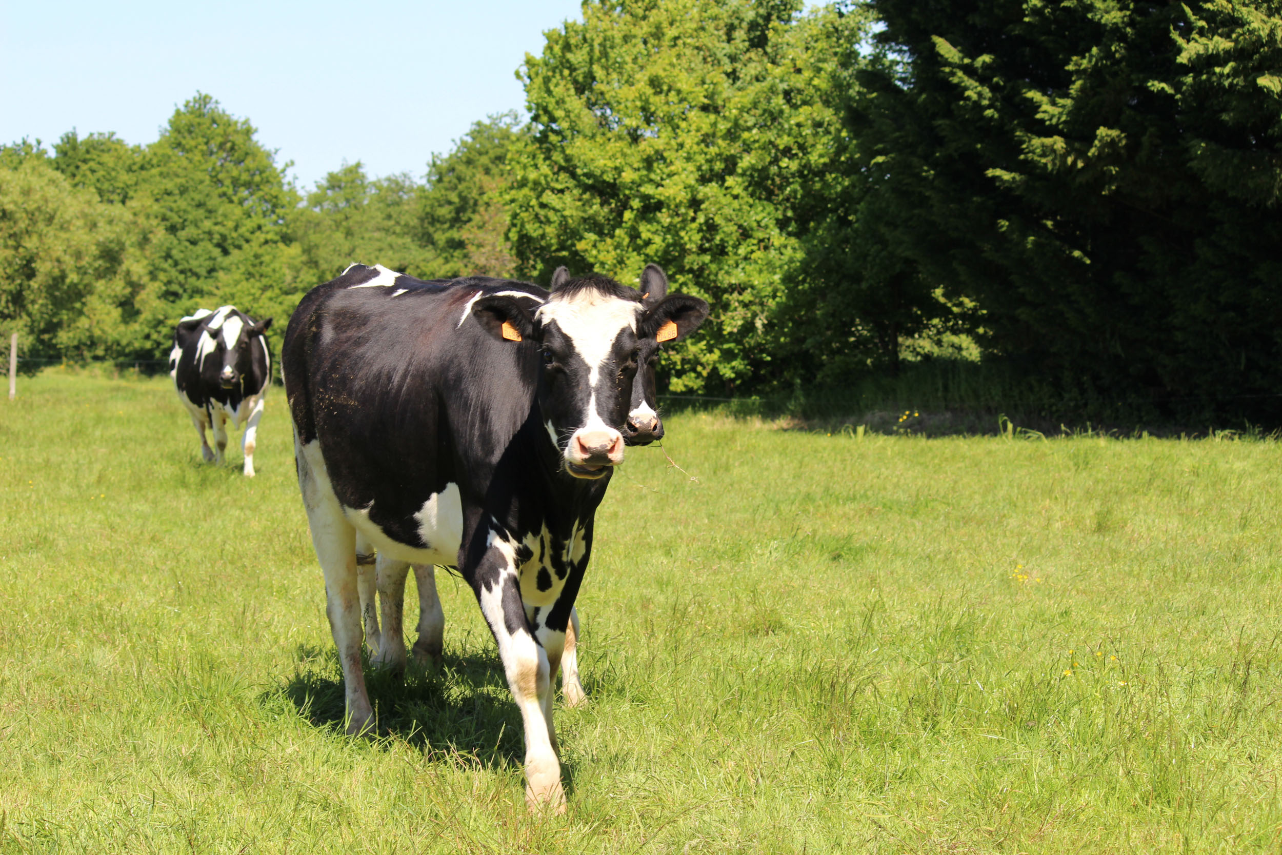 Les agriculteurs et les AMAP