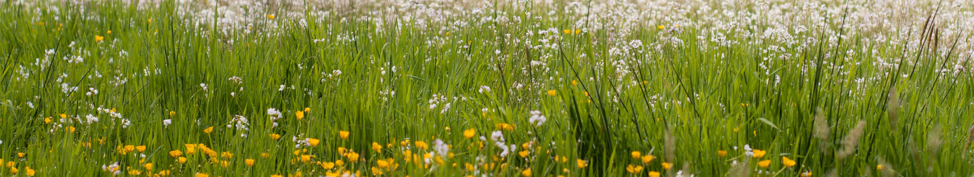 La commission biodiversité