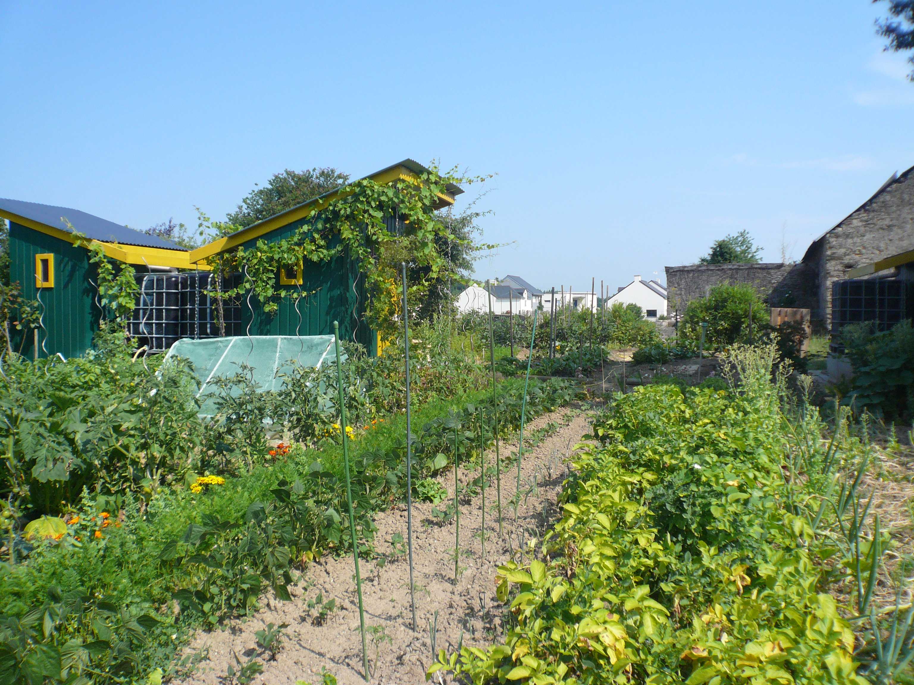 Le jardinage et le compostage